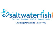 Saltwaterfish Couoons