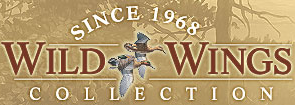 Wild Wings Couoons