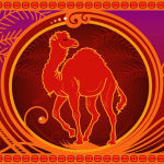 The Red Camel Couoons