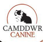 CAMDDWR CANINE UK Couoons