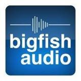 Big Fish Audio Couoons