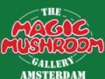 Magic Mushroom Couoons