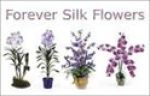 Forever Silk Flowers Couoons