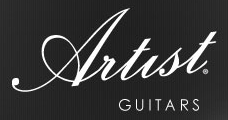 Artist Guitars NZ Couoons