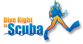 Diverightinscuba Couoons