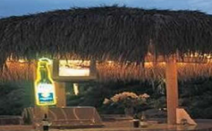 Tiki Shack Importer Couoons