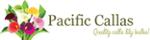 Pacific Callas Couoons