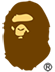 Bape Couoons