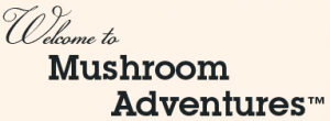 Mushroom Adventures Couoons