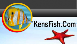 Kensfish Couoons