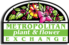Metropolitan Plant & Flower Exchange Couoons