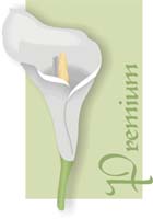 Your Organza Bag Coupon & Deals