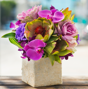 ​Orchid, Lisianthus & Succulent Design